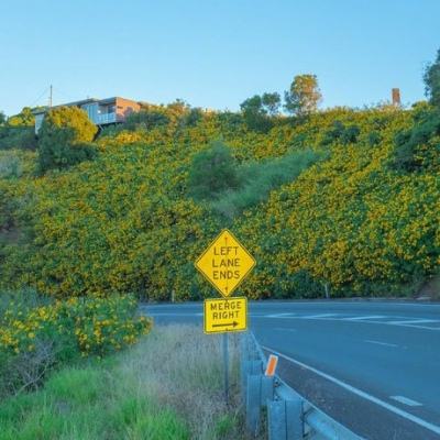 皇冠APP下载安装