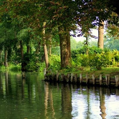 双赢彩票官方网站下载手机版