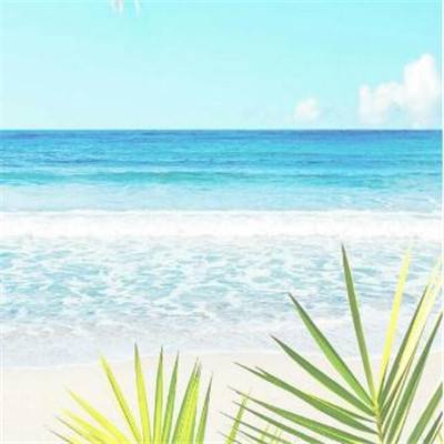 万博手机版app下载