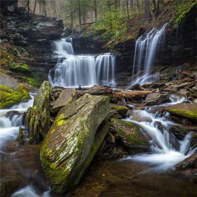 百姓彩票网app下载