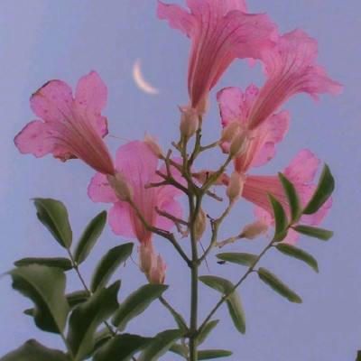 leyu·乐鱼-登录入口