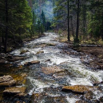 大发黄金版app下载下载手机版