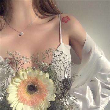 开云体云app手机app下载